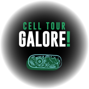 Cell Tour Galore!