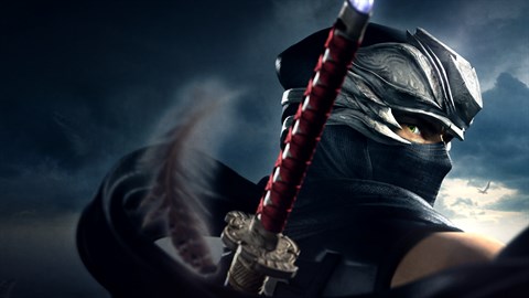 Ninja gaiden shop 2 xbox store