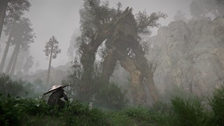 Crimson Desert Enhanced Deluxe Edition screenshot 5