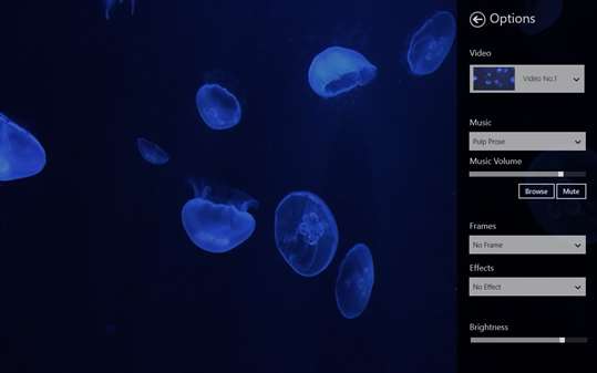 Colorful Jelly Fishes screenshot 2