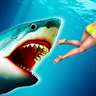 Hungry Angry Shark Evolution