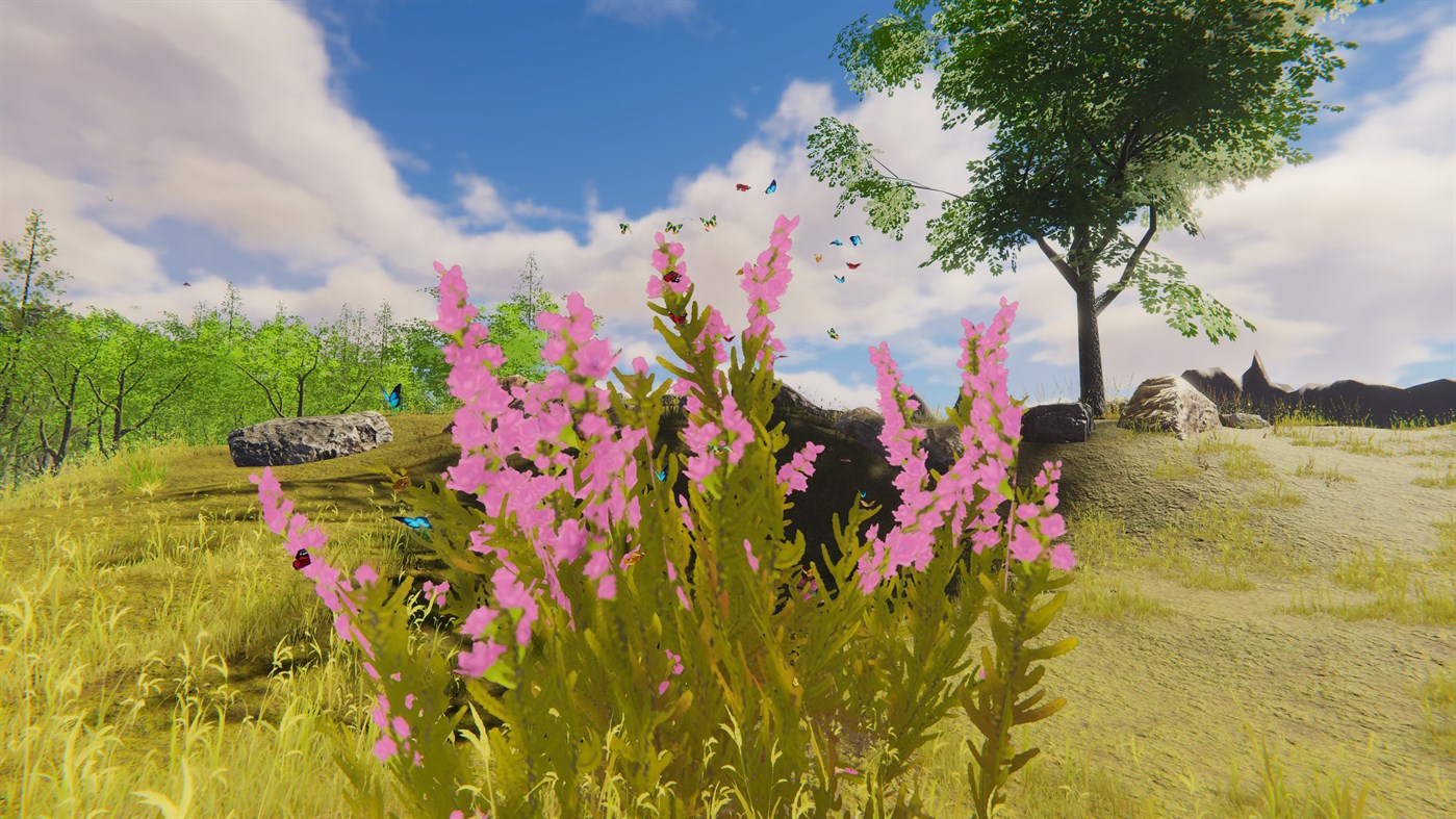 #6. Discovering Delight (Windows) 由: Pilgrim Technologies