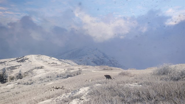 theHunter: Call of the Wild - Sundarpatan Nepal Hunting Reserve screenshot 3