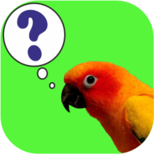 Parrot Quiz