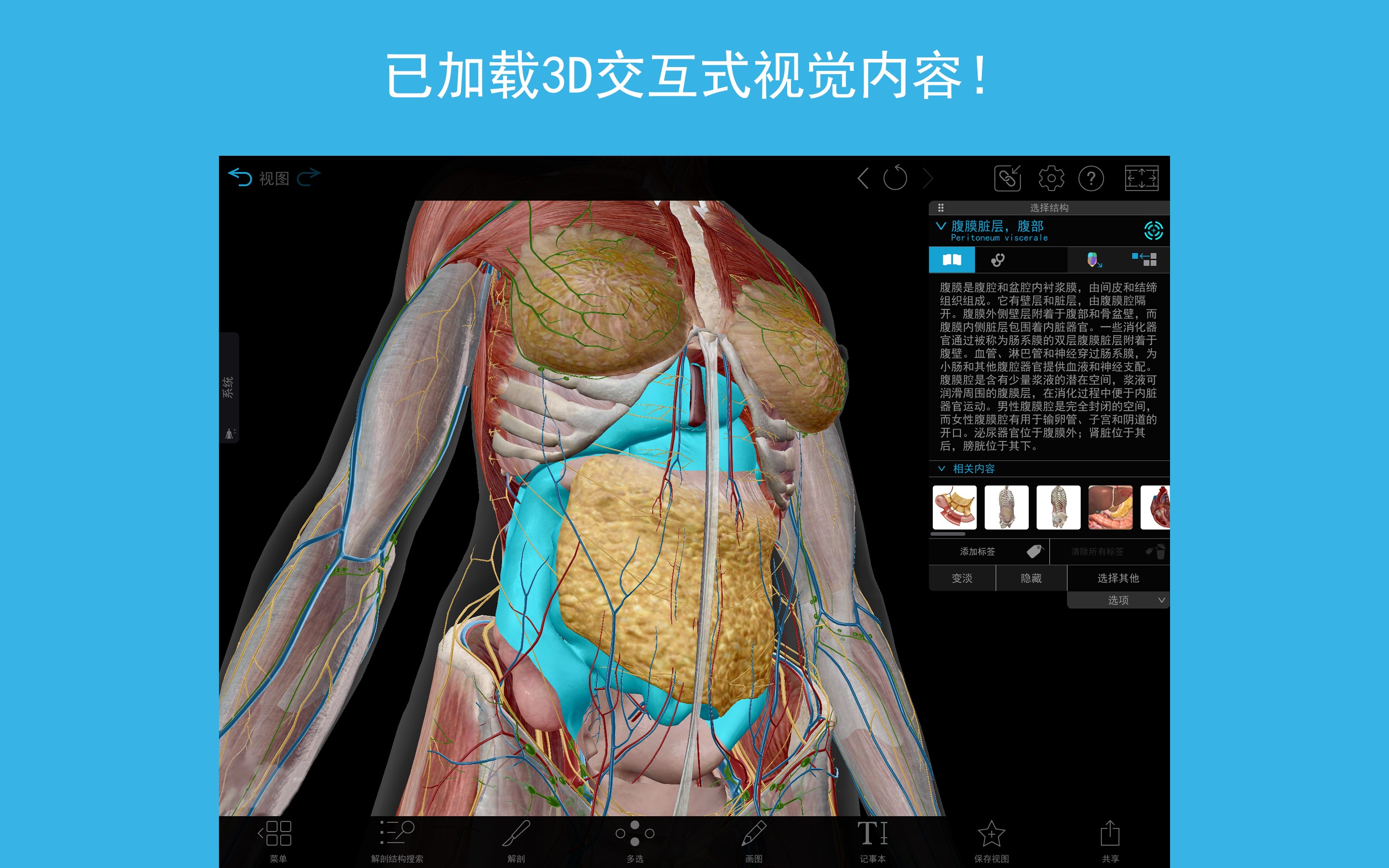 ２０２4人体解剖学图谱：完整的三维人体 - Microsoft Store 中的官方应用