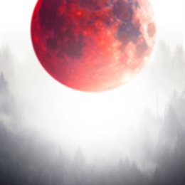 Aperçu Werewolf: The Apocalypse – Rageborn