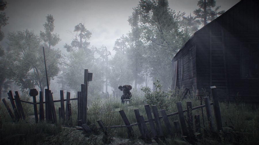 Full Size Image