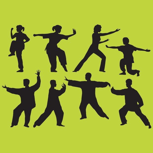 Tai Chi - A Master Class