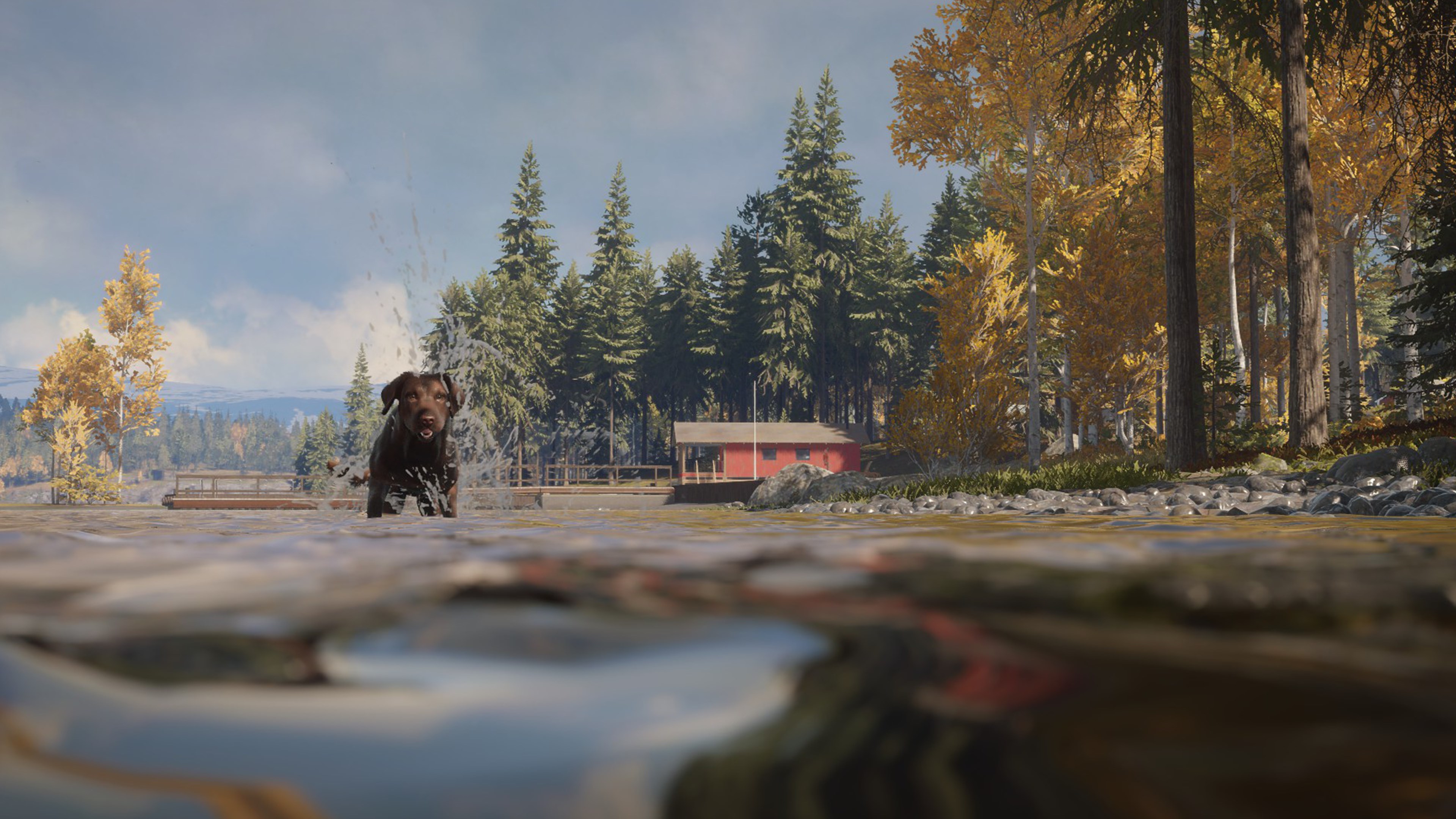 theHunter: Call of the Wild™ - Labrador Retriever - Windows 10 | Xbox | Chiave | Privato