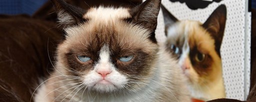 Grumpy Cat Wallpaper New Tab marquee promo image