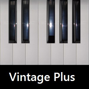 Vintage Plus Synth