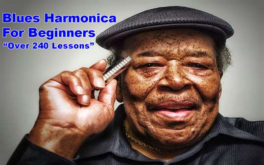 Blues Harmonica Beginners Lessons screenshot 1