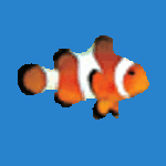 Clownfish for Skype