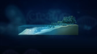 Creatura