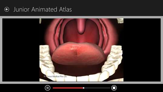 Anatomy Atlas-Junior screenshot 3