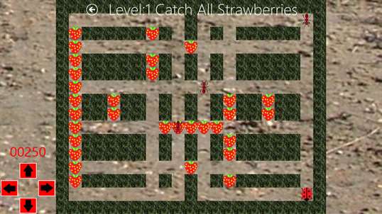 Ladybirds & Strawberries screenshot 2