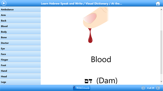 Learn Hebrew by WAGmob screenshot 3