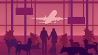 An Airport for Aliens Currently Run by Dogs