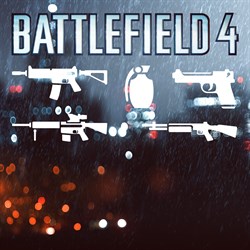 Pacchetto subito Armi per Battlefield 4™