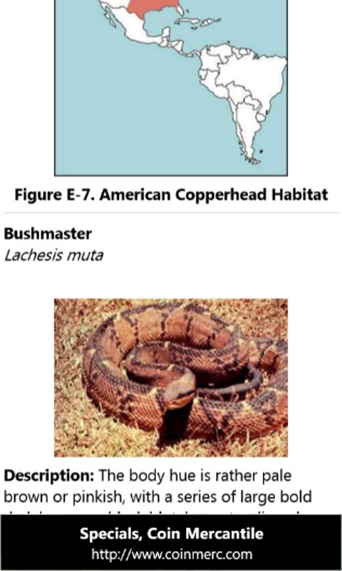 Screenshot 5 SurvivalGuide windows