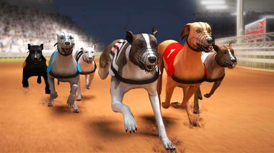 Greyhound Racing Dog Run screenshot 1