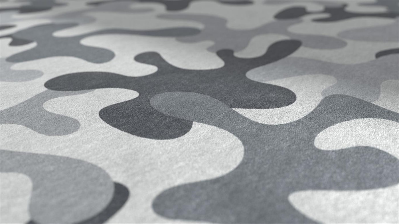 #3. Arctic Camo Special Edition (Windows) 由: Microsoft Corporation