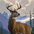 Deer Hunter: Reloaded