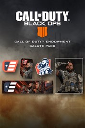 Call of Duty®: Black Ops 4 - C.O.D.E. Salute Pack