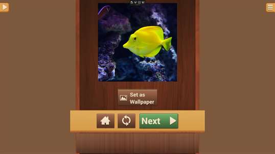 Fish Puzzle Games screenshot 4