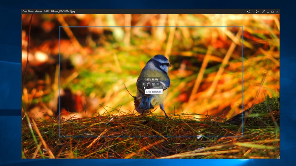 One Photo Viewer_2