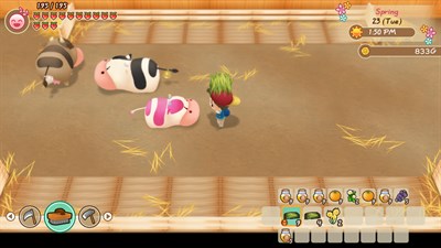 STORY OF SEASONS: Friends of Mineral Town — скриншот 2