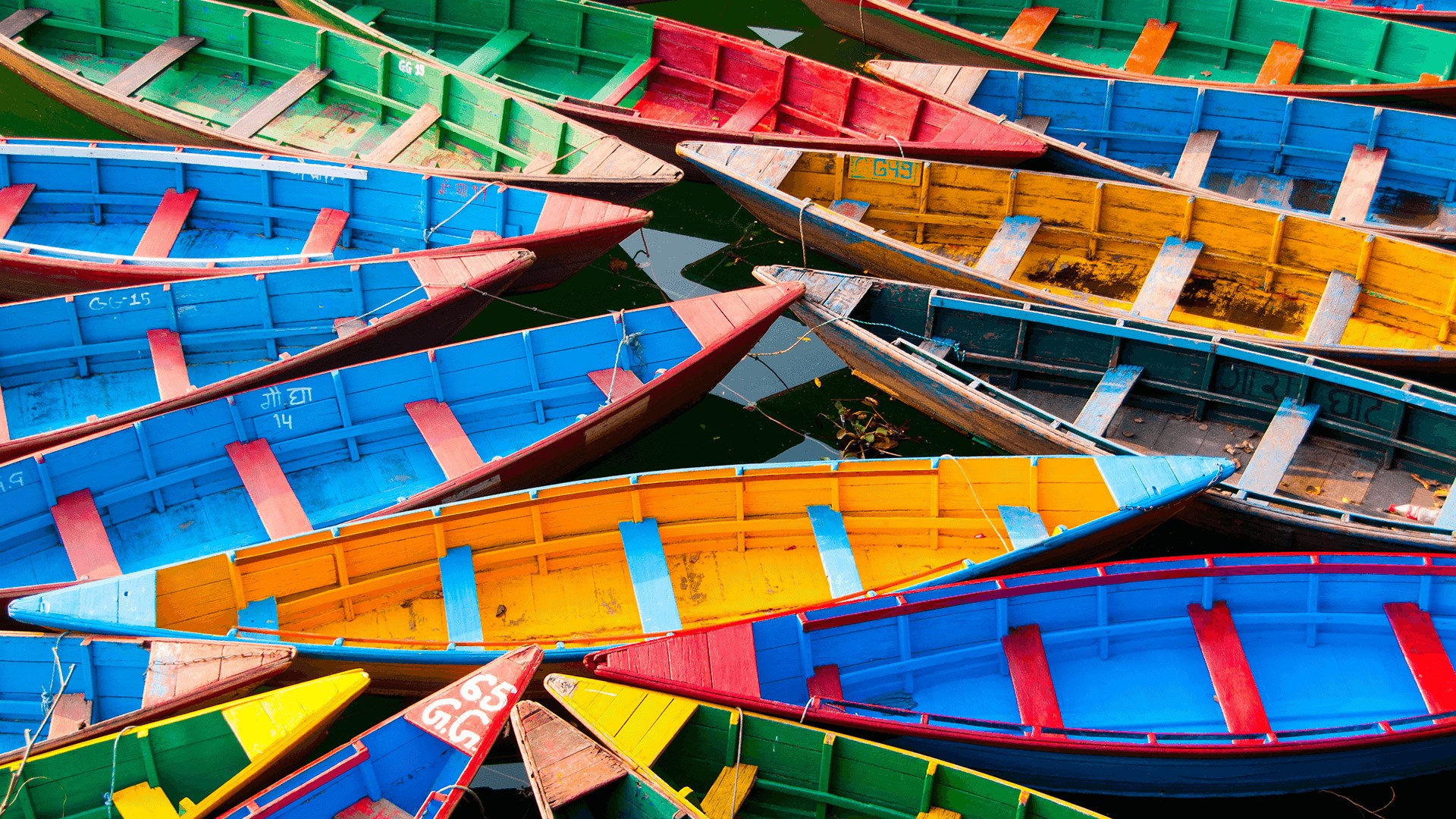 image-detail-for-sunfish-sailboats-colorful-ocean-sailboats-sunfish