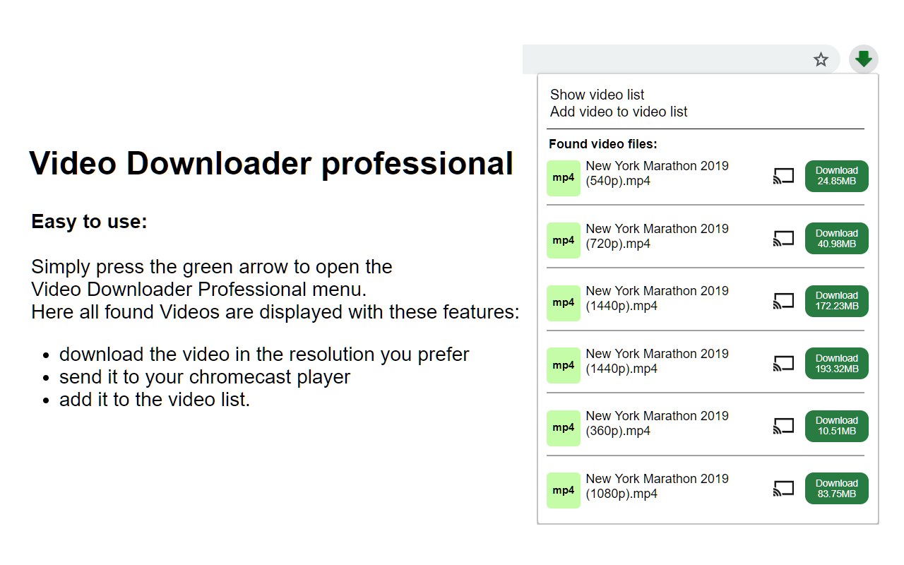 Video Downloader professional