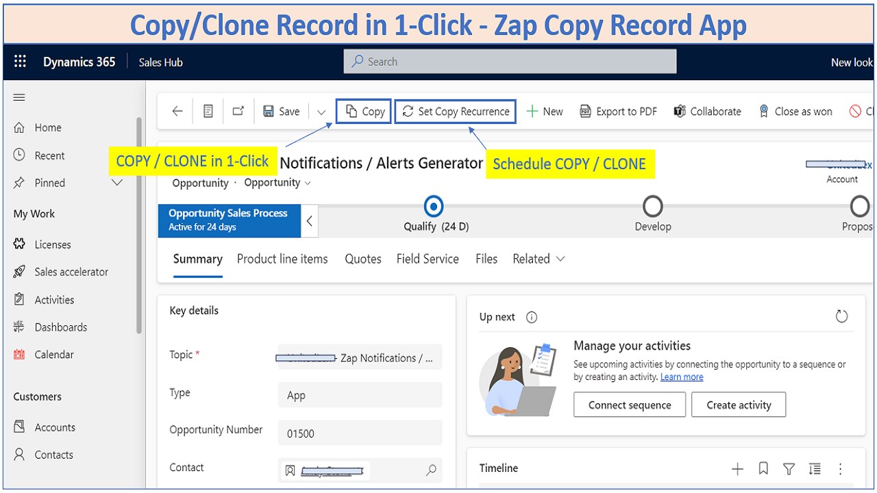 Snapshot 2 of Zap Copy / Clone / Duplicate Record