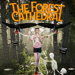 Aperçu The Forest Cathedral