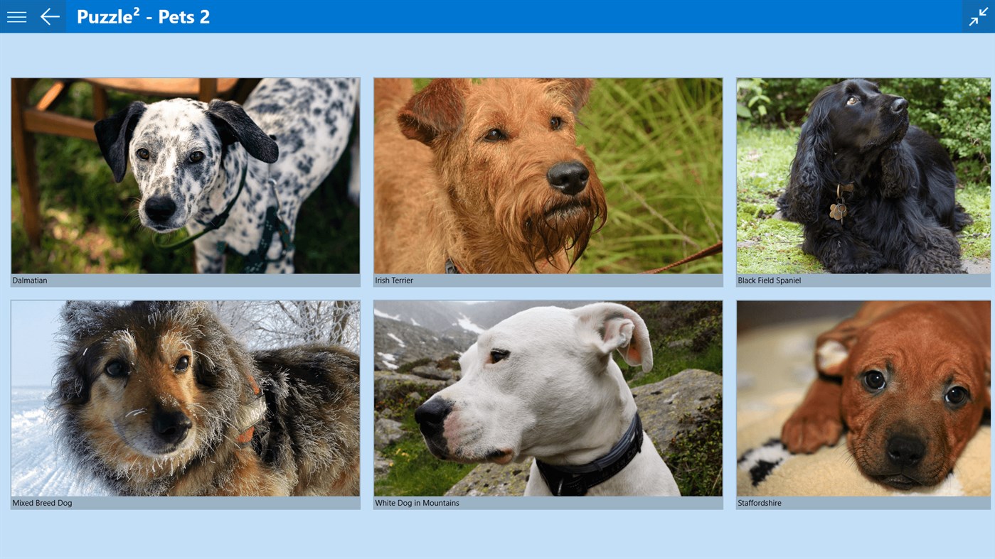 #7. Puzzle² - Pets 2 (Windows) 来自: fonaps.com