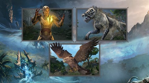 The Elder Scrolls Online: 2025 Content Pass (Add On)