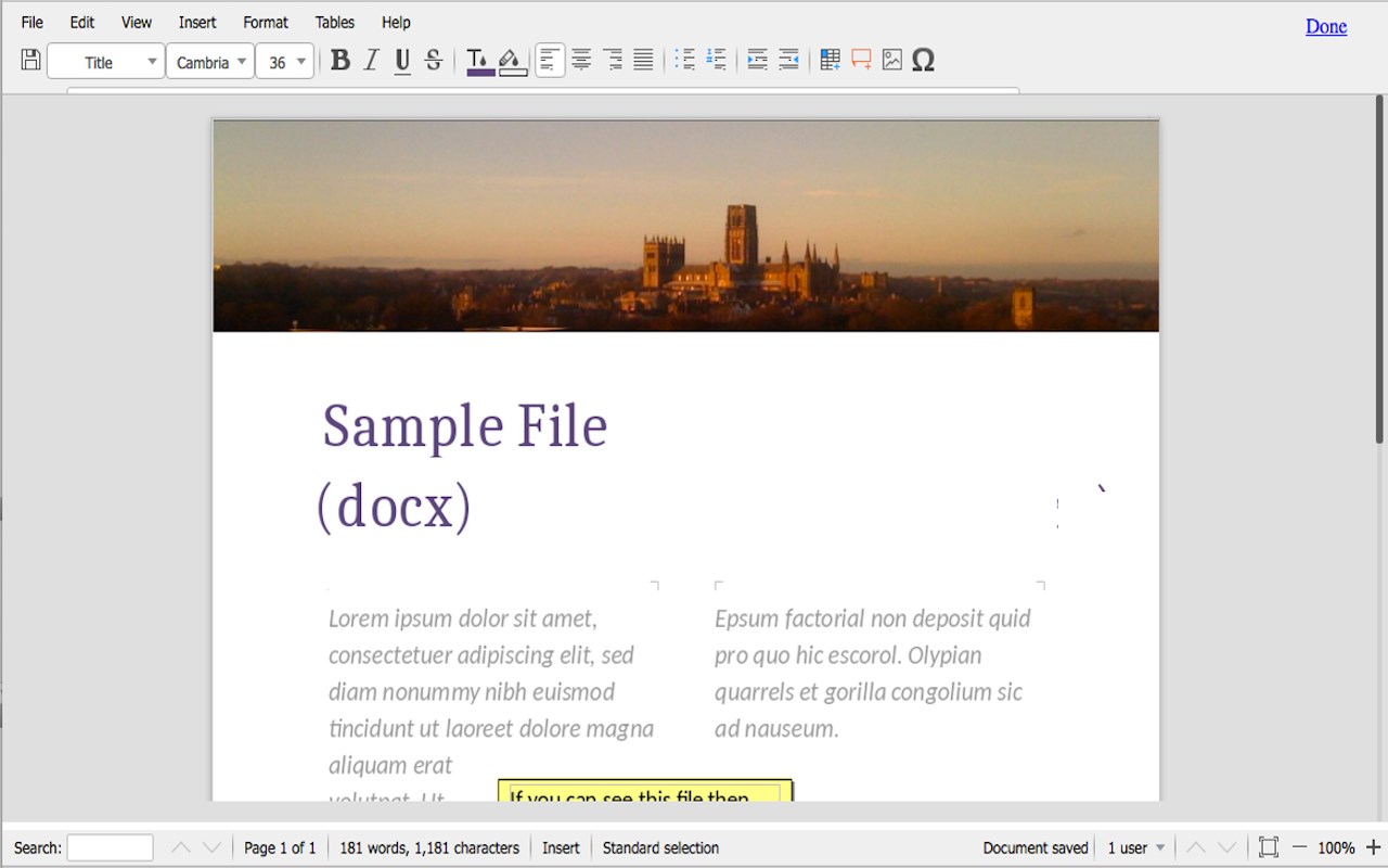 Document Editor for doc & docx