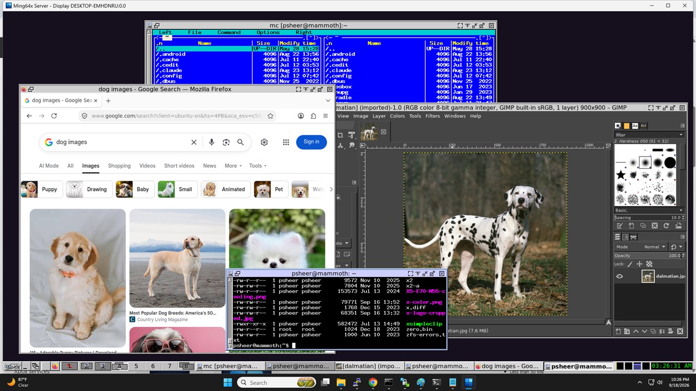 #1. Ming64x (Windows) di: CoolSoftware
