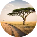 Tanzania Wallpaper New Tab icon