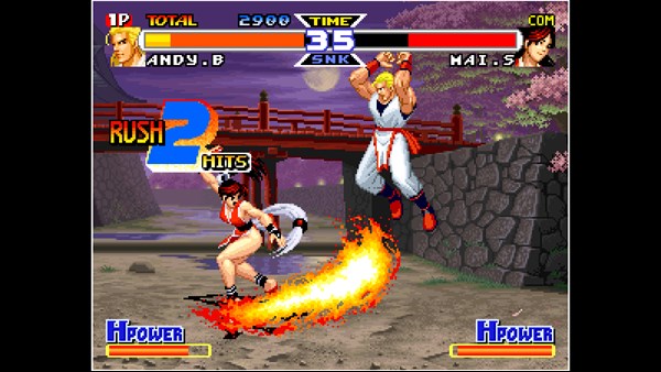 ACA NEOGEO REAL BOUT FATAL FURY SPECIAL — 1