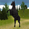 Jungle Horse Jumping
