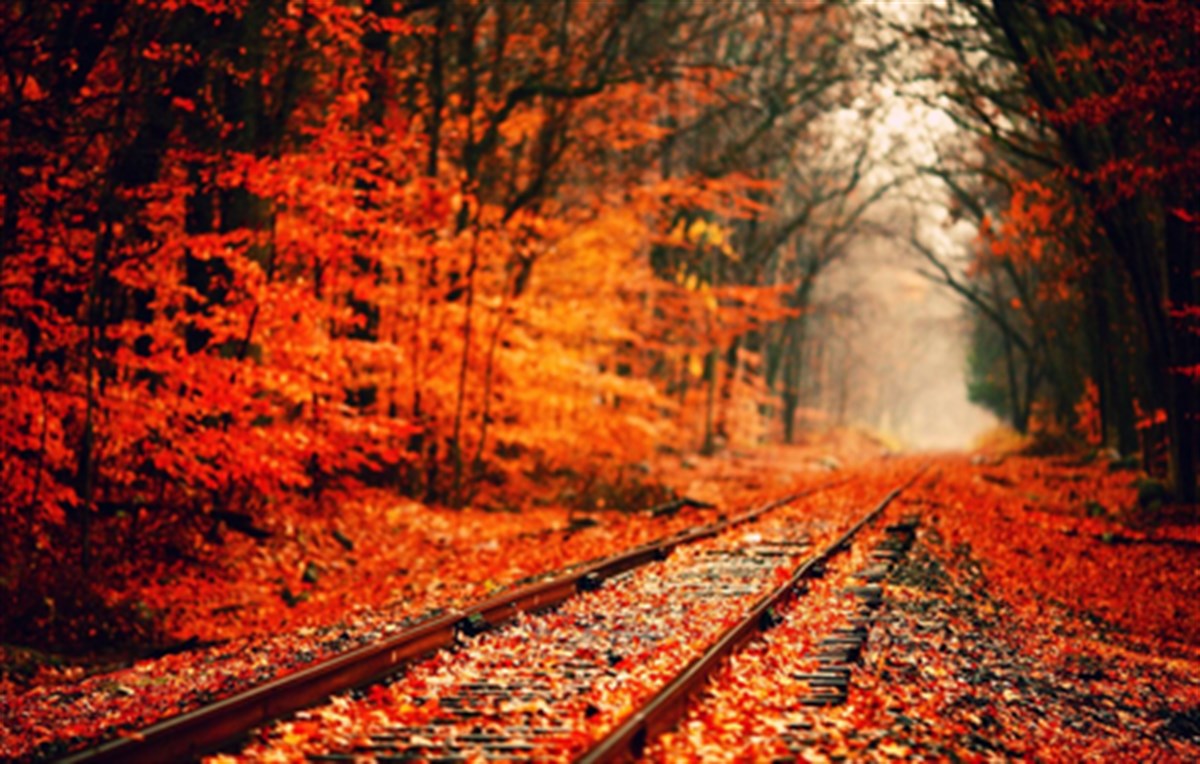 Fall Wallpaper New Tab