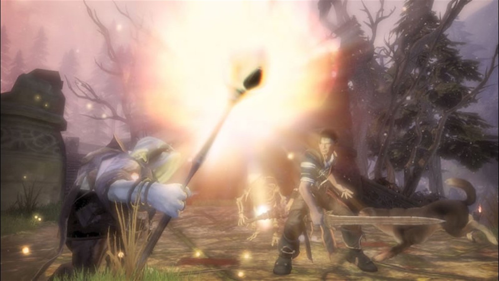 Fable II — captura 7