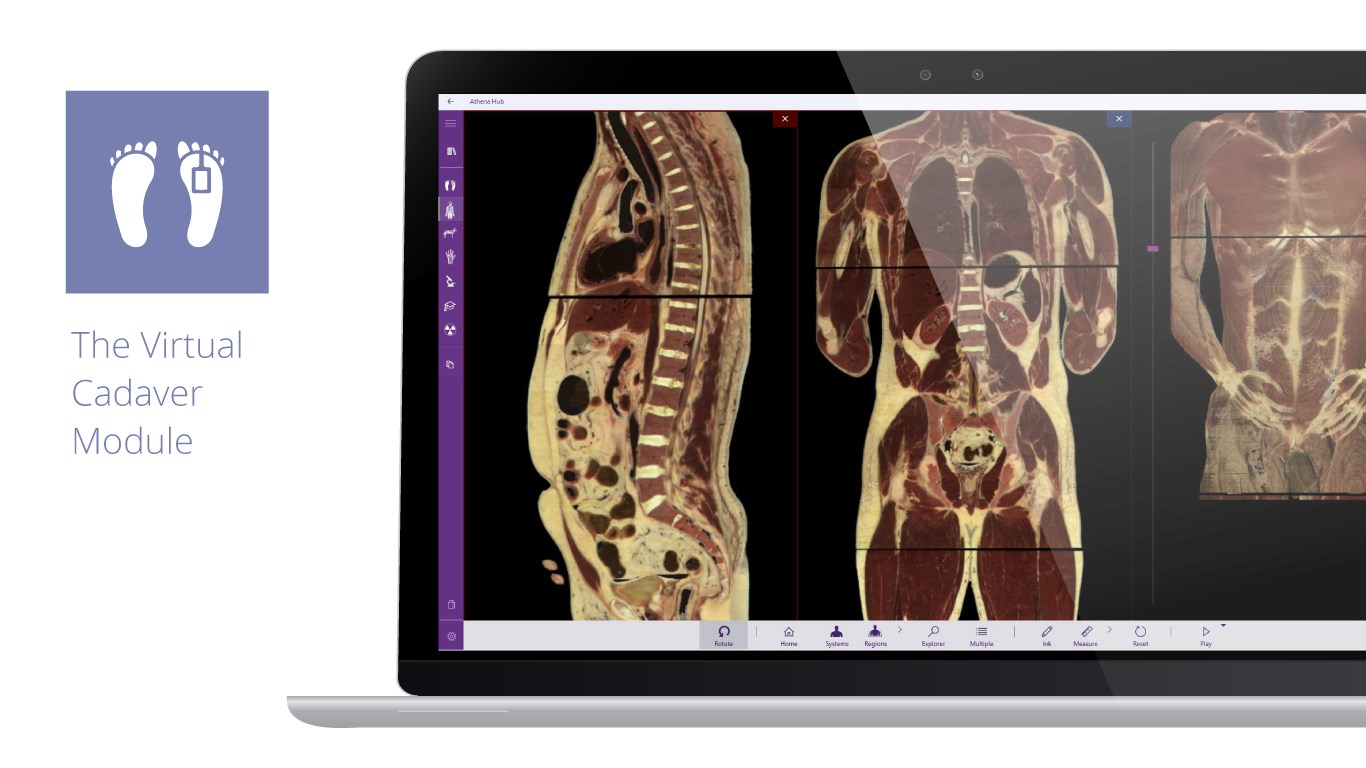 【图】Virtual Cadaver Anatomy Lab – Athena Hub(截图3)