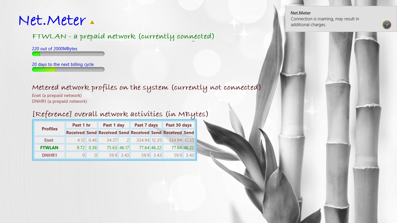 Windows 10 Net.Meter full