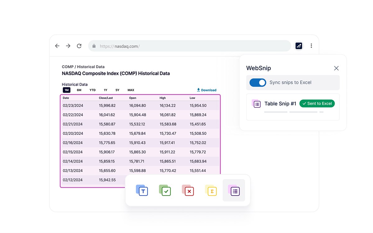 DataSnipper WebSnip: Excel Data Extraction Tool