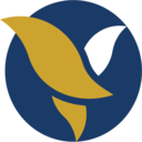 AIB-DST icon