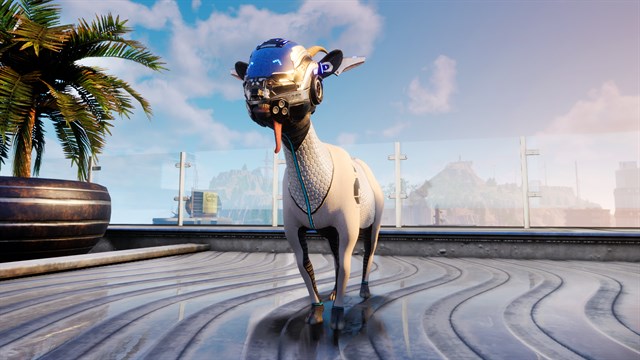 Digital Downgrade screenshot 1