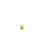 Secure Phone